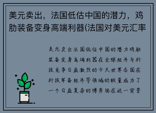 美元卖出，法国低估中国的潜力，鸡肋装备变身高端利器(法国对美元汇率)