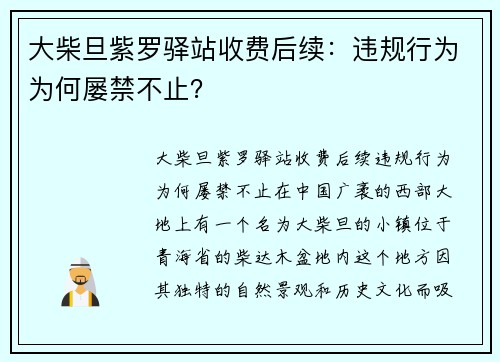 大柴旦紫罗驿站收费后续：违规行为为何屡禁不止？