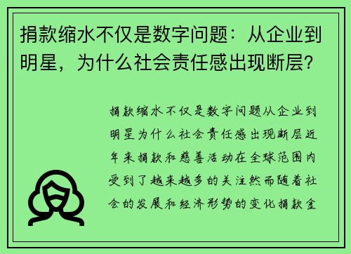 捐款缩水不仅是数字问题：从企业到明星，为什么社会责任感出现断层？